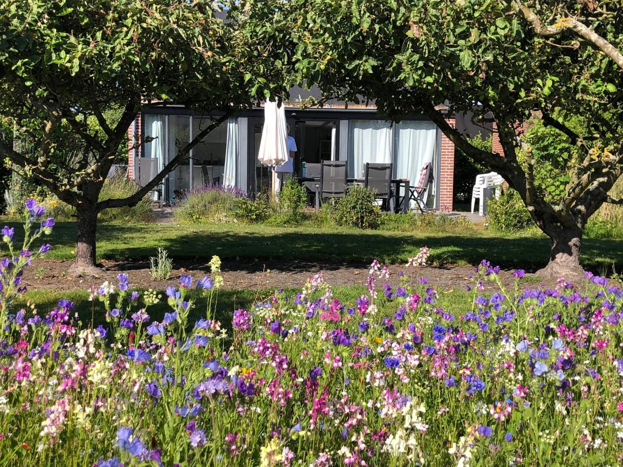 Buitenplaats Schouwen Burgh-Haamstede Exterior foto